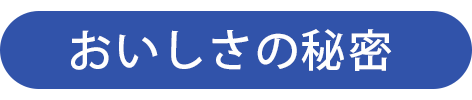 日本盛 ジャパンソーダ