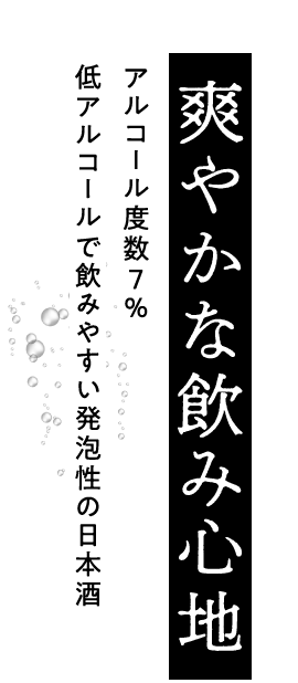 日本盛 ジャパンソーダ