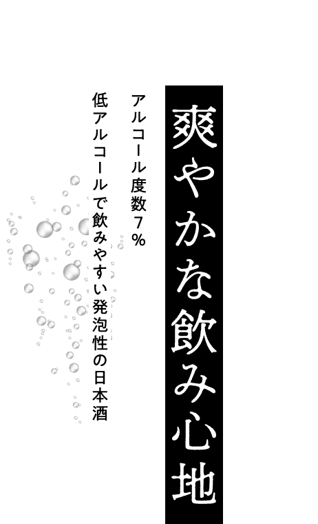 日本盛 ジャパンソーダ