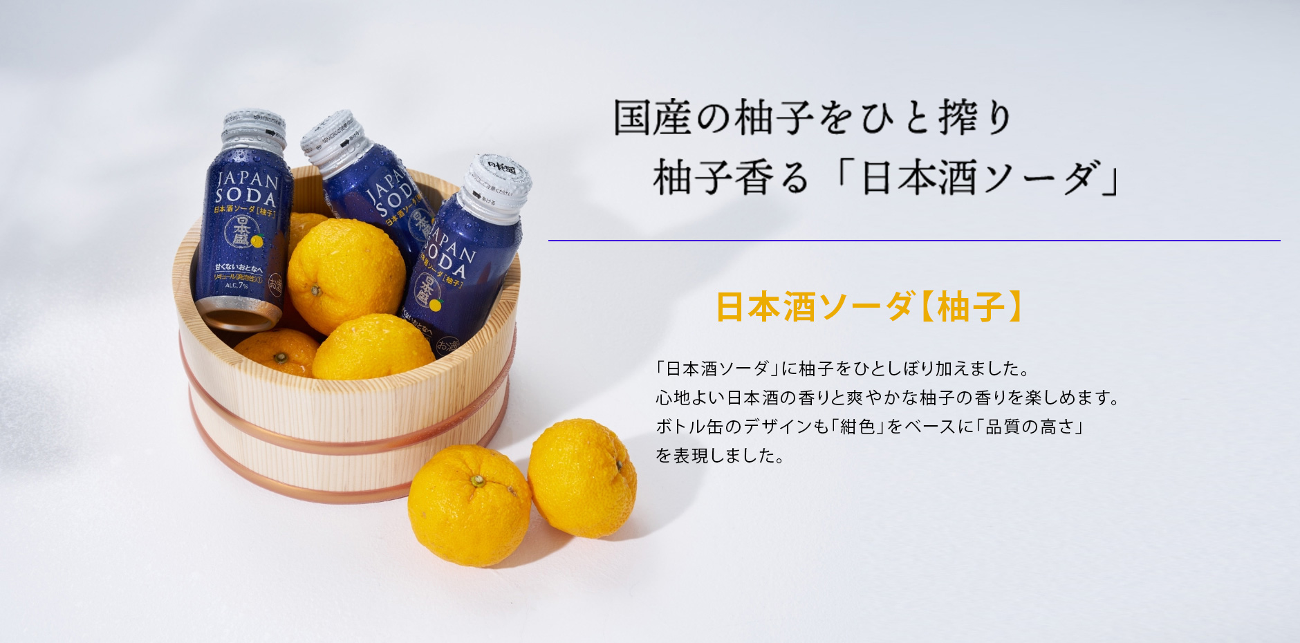 日本盛 ジャパンソーダ